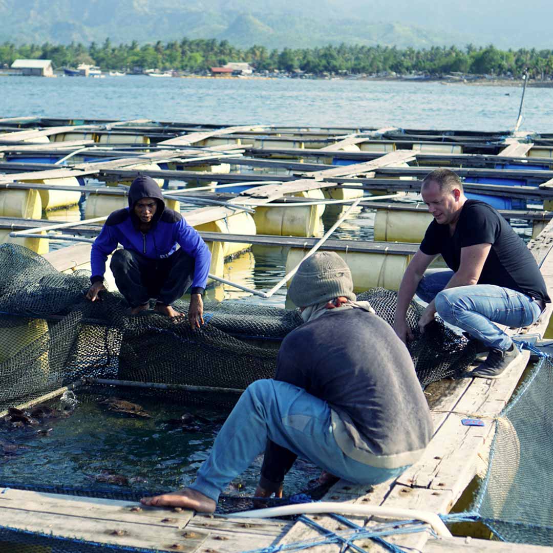 Jimbaran Style Grilled Fish - A Recipe by Will Meyrick