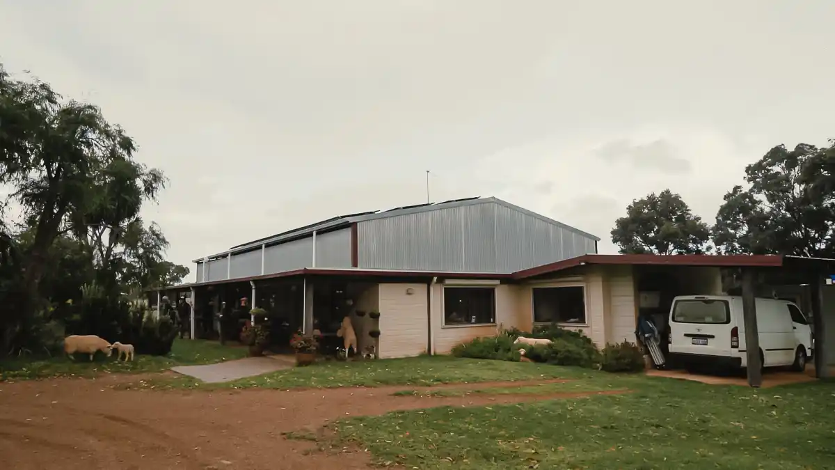 Sheepishly Delicious My Cheesy Adventure at Cambray Cheese Farm